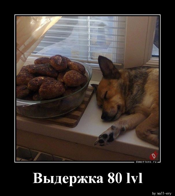 Демотиваторы дня