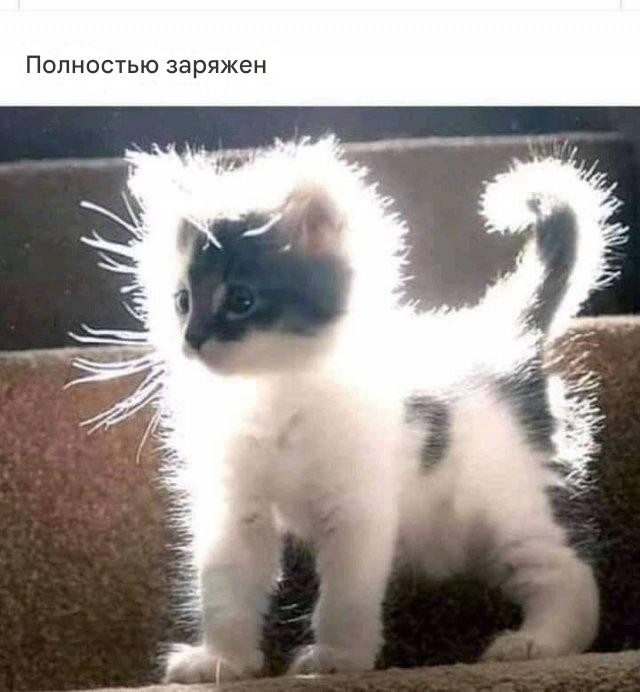 Фотоприколы дня