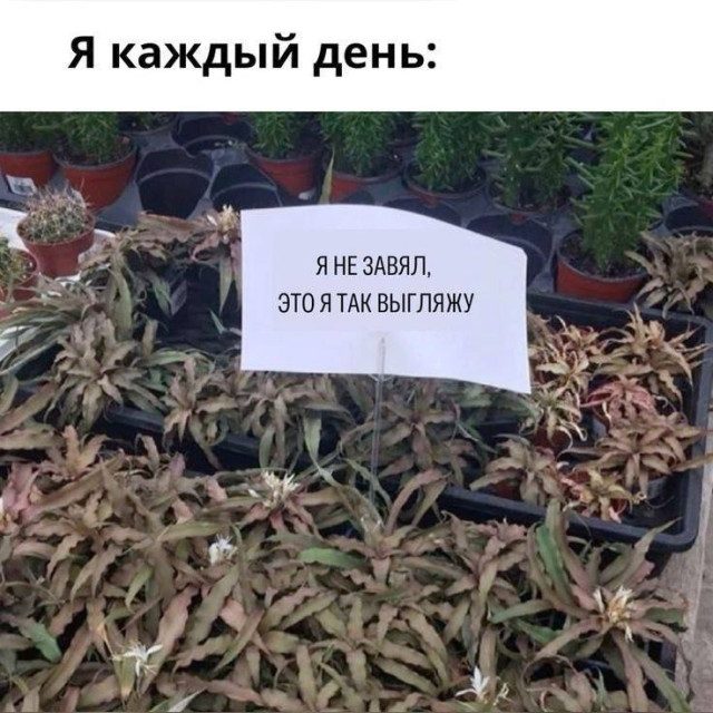 Фотоприколы дня