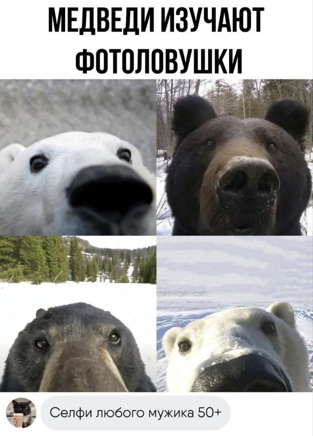 Фотоприколы дня