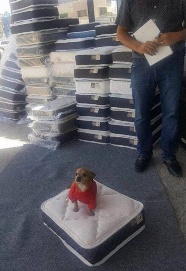 Прикольные картинки дня