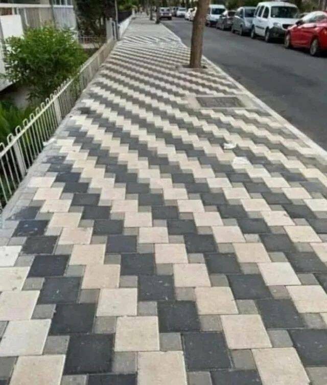 Прикольные картинки дня