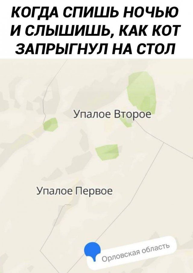 Смешные картинки