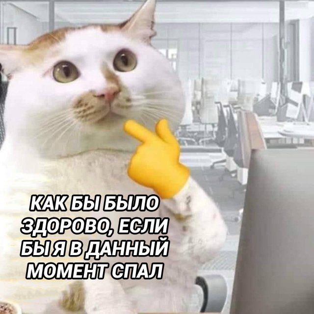 Смешные картинки