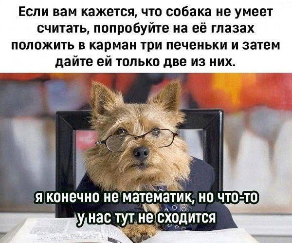 Большая порция позитива