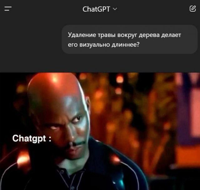 Смешные картинки