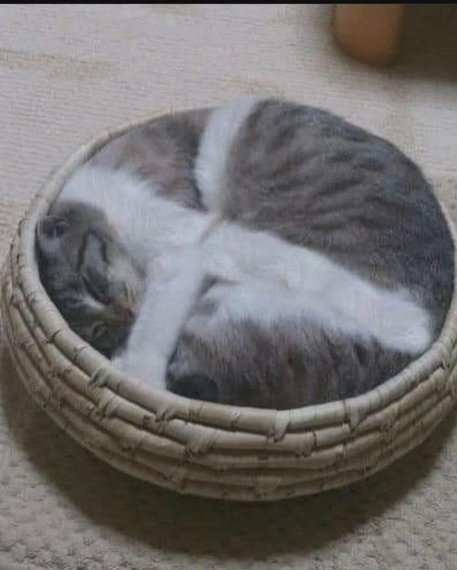 Весёлые прикольности
