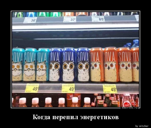 Демотиваторы весёлые