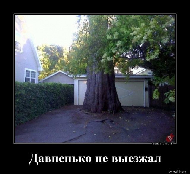 Отличная коллекция демотиваторов