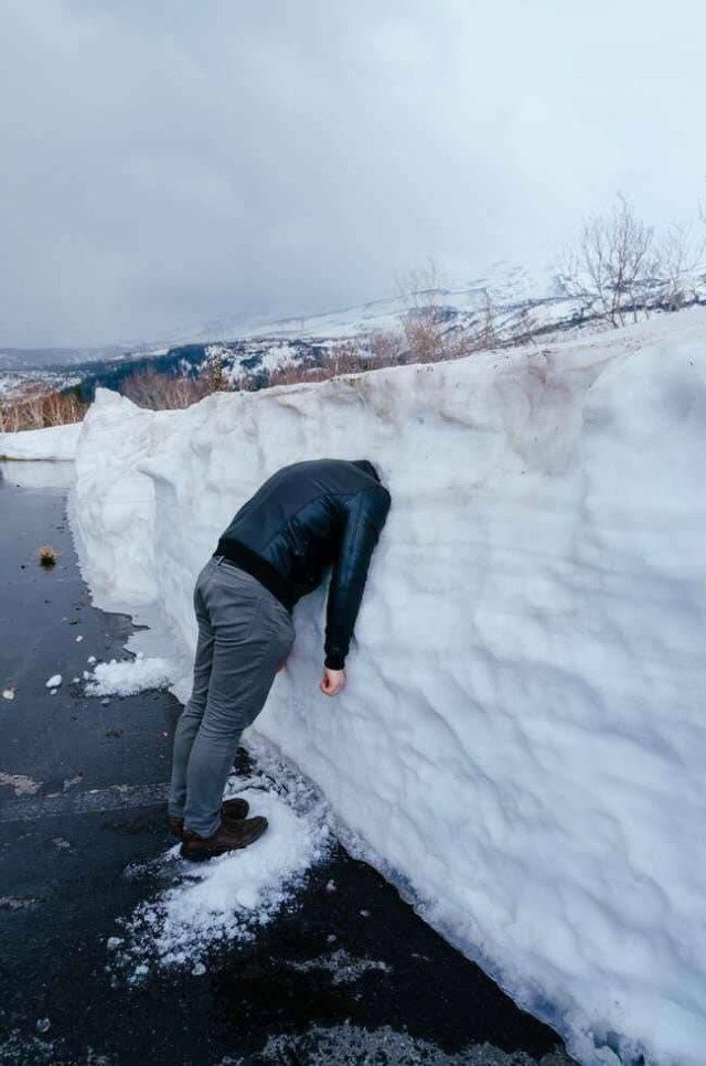 Весёлые картинки и приколы для настроения