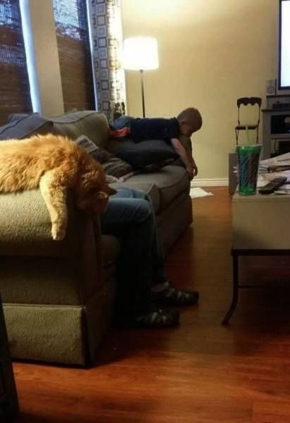 Весёлые картинки и приколы для настроения