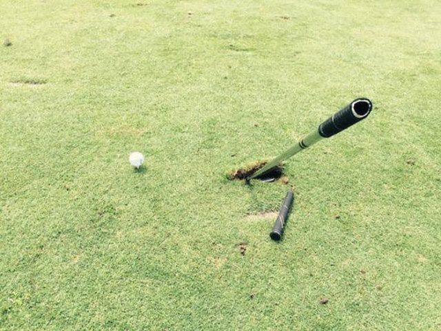 Весёлые картинки и приколы для настроения