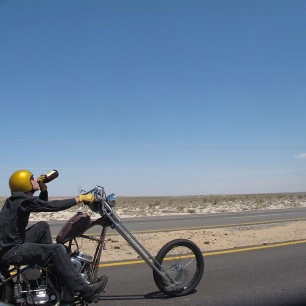 Подборка картинок. Вечерний выпуск