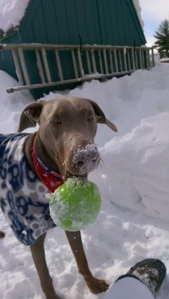 Подборка картинок. Вечерний выпуск