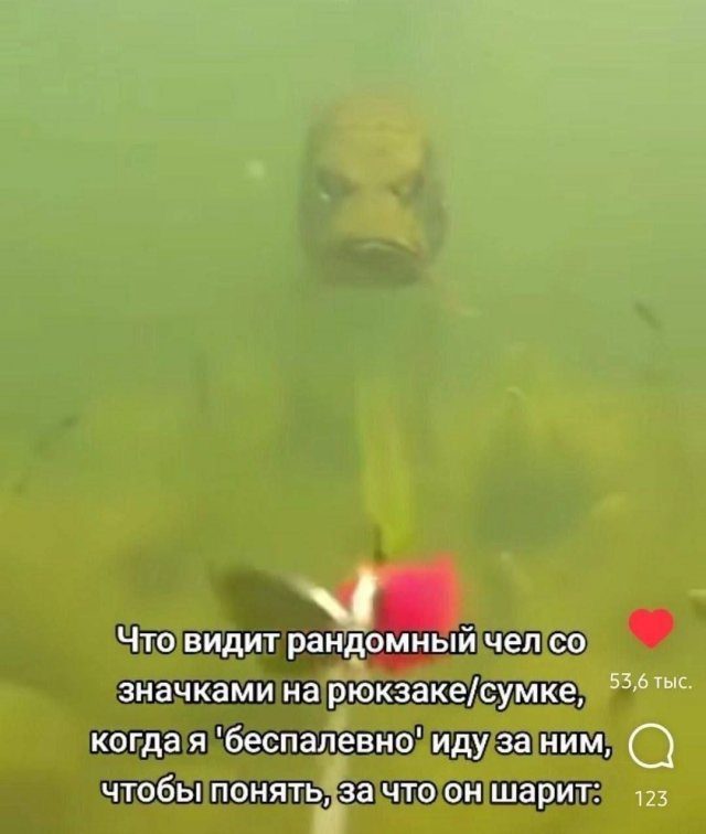 Лучшие шутки