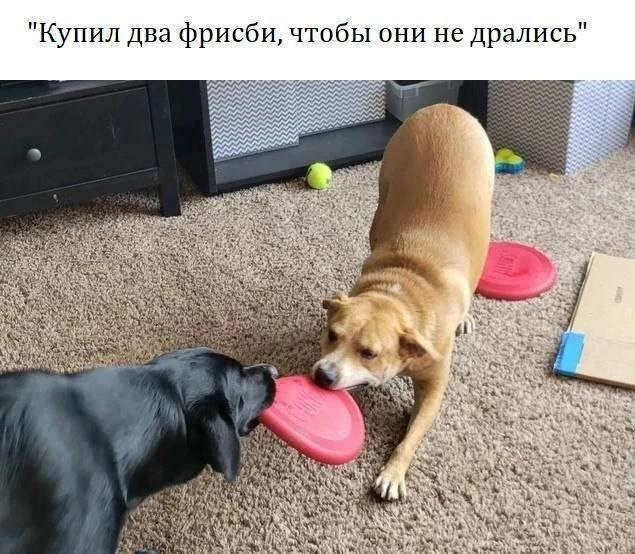 Смешные мемы