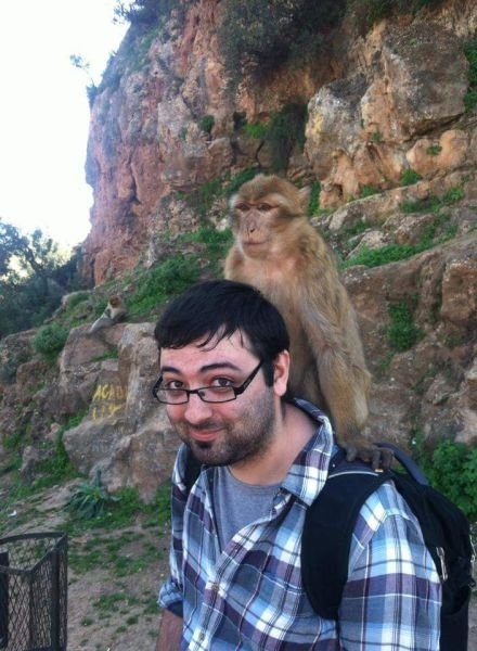 Подборка картинок. Вечерний выпуск