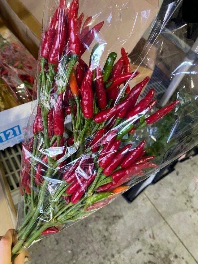 Весёлые картинки дня