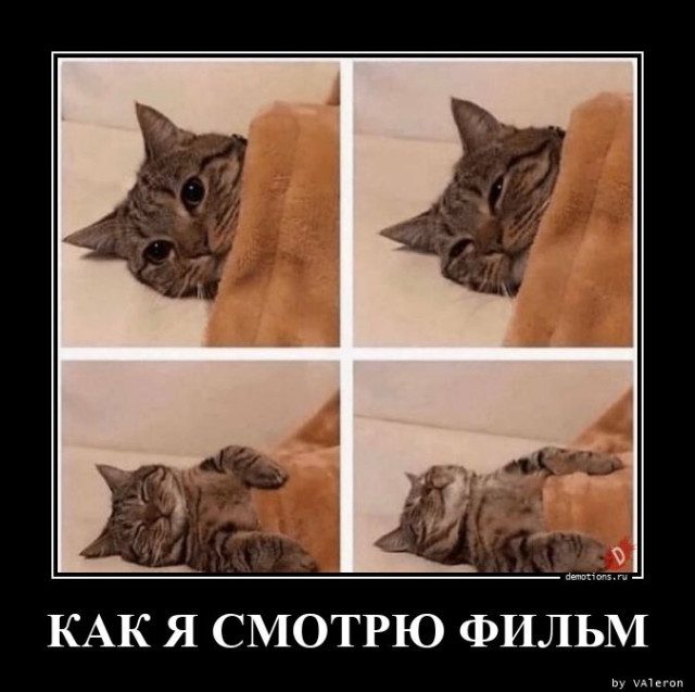 Демотиваторы прикольные