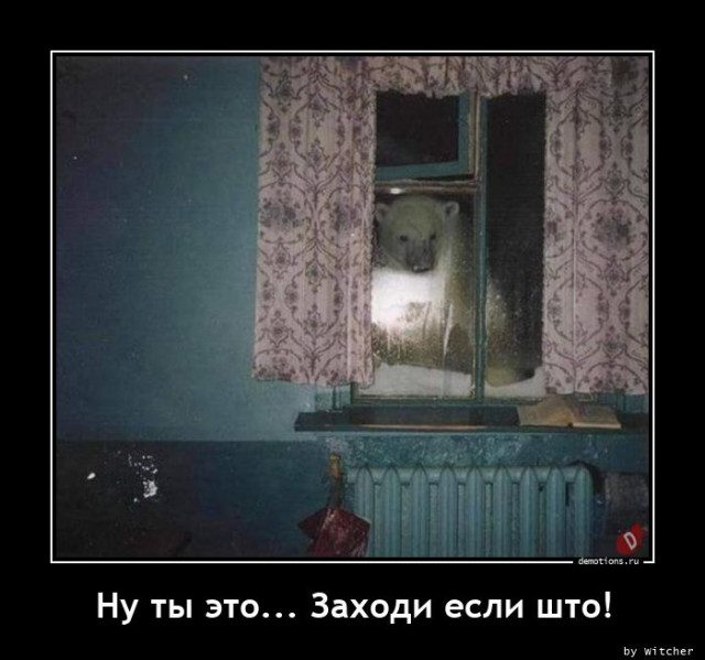 Демотиваторы прикольные