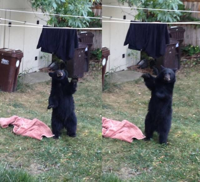 Весёлых приколов свежий сборни