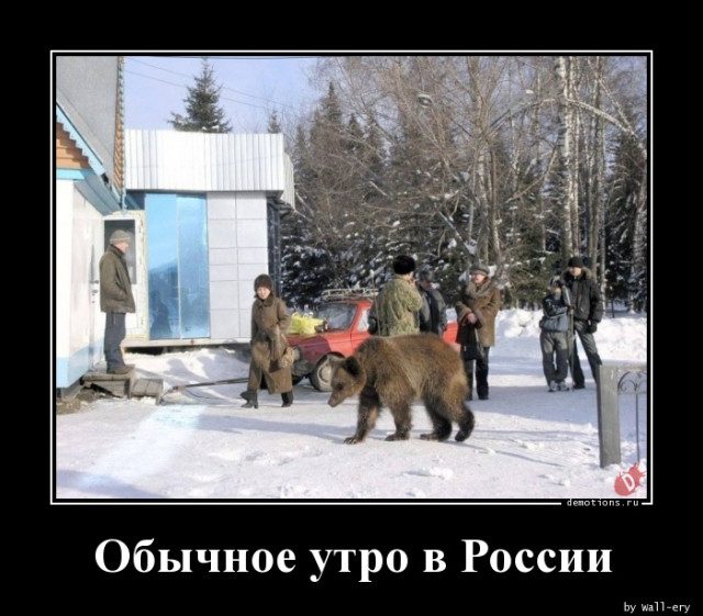 Демотиваторы для всех