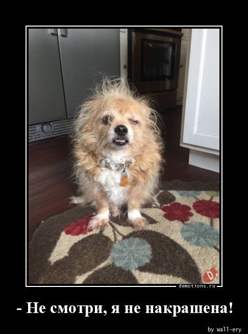 Демотиваторы для всех