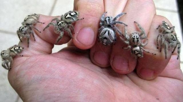 Весёлых приколов свежий сборни