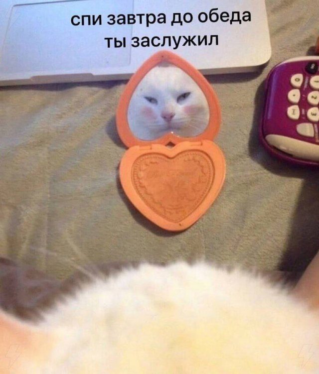 Подборка мемов