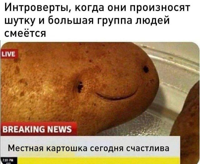 Лучшие шутки и мемы