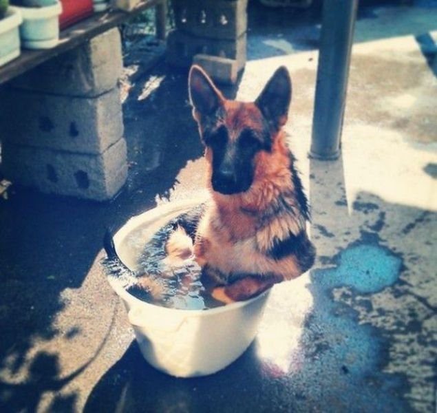 Подборка картинок. Вечерний выпуск