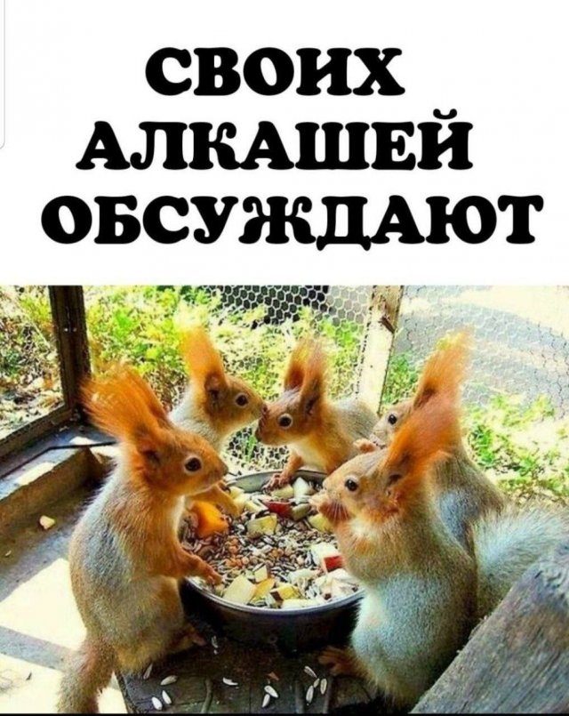 Подборка картинок