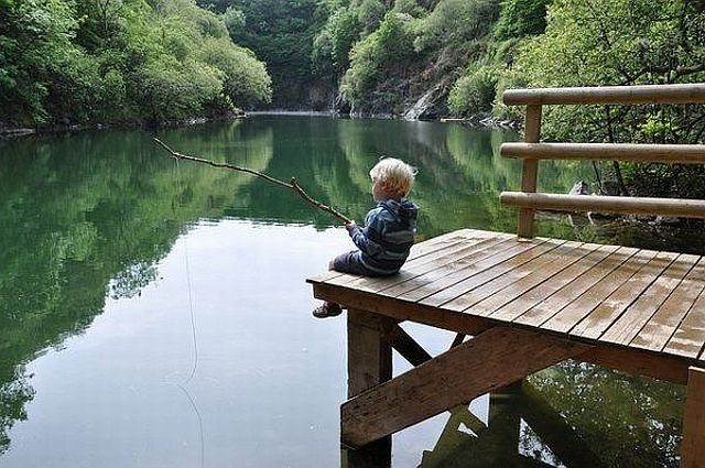 Подборка картинок. Вечерний выпуск