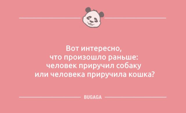 Шутки и анекдоты