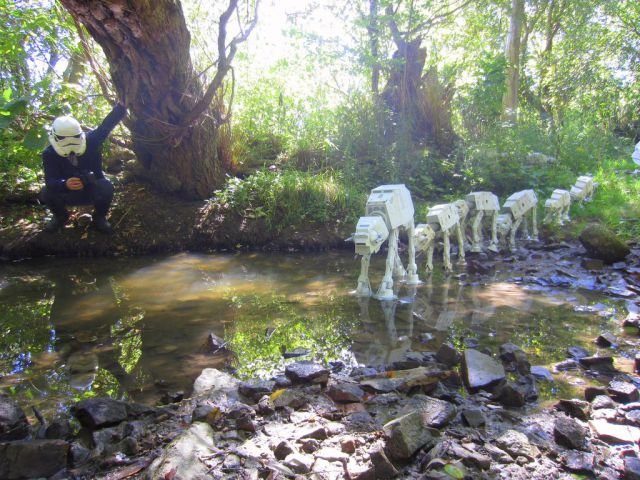 Подборка картинок. Вечерний выпуск
