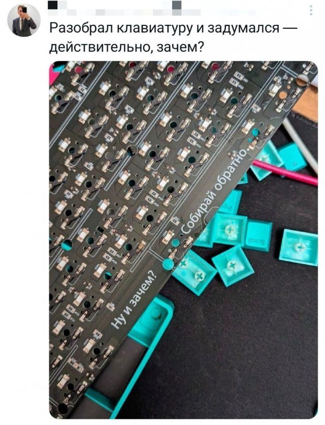 Подборка картинок. Вечерний выпуск