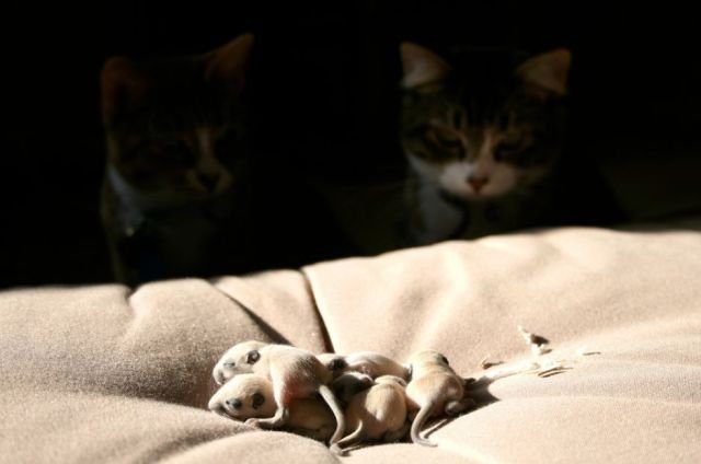 Подборка картинок. Вечерний выпуск