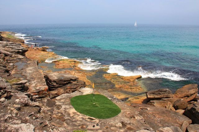 Подборка картинок. Вечерний выпуск