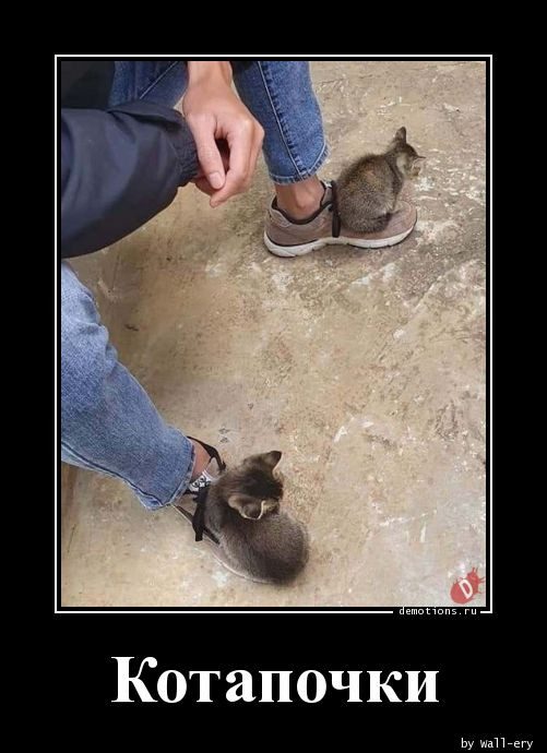 Демотиваторы на любой вкус