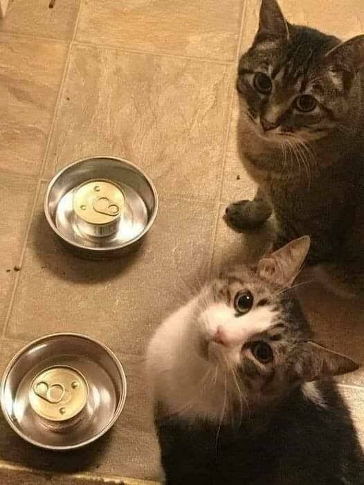 Картинки для весёлого настроения