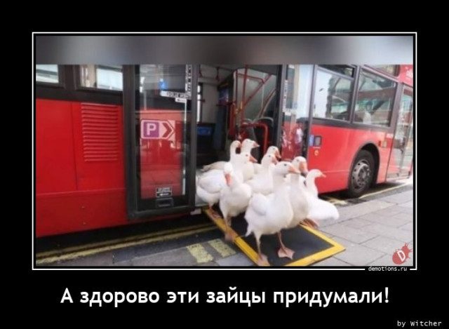 Демотиваторы на любой вкус