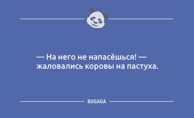 Шутки и анекдоты дня