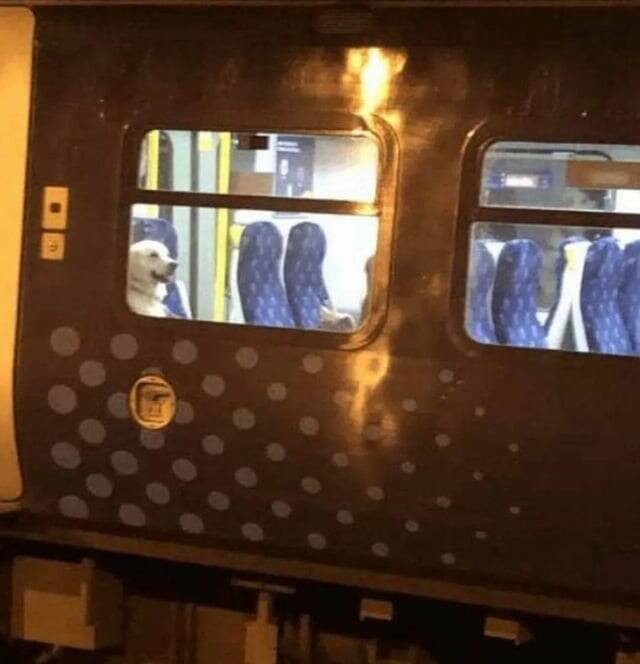 Картинки для весёлого настроения