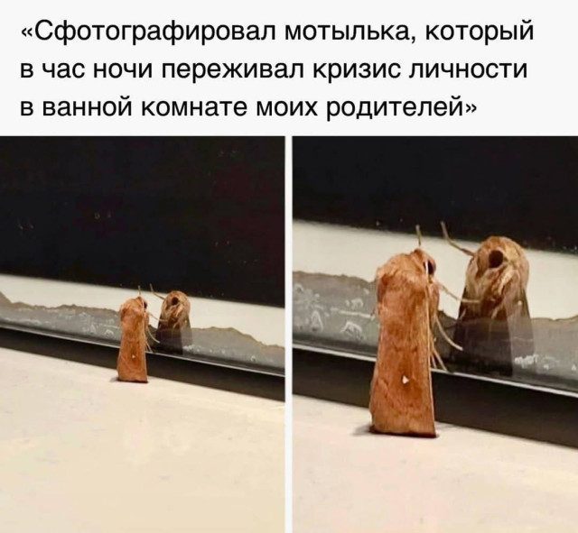 Картинки для весёлого настроения