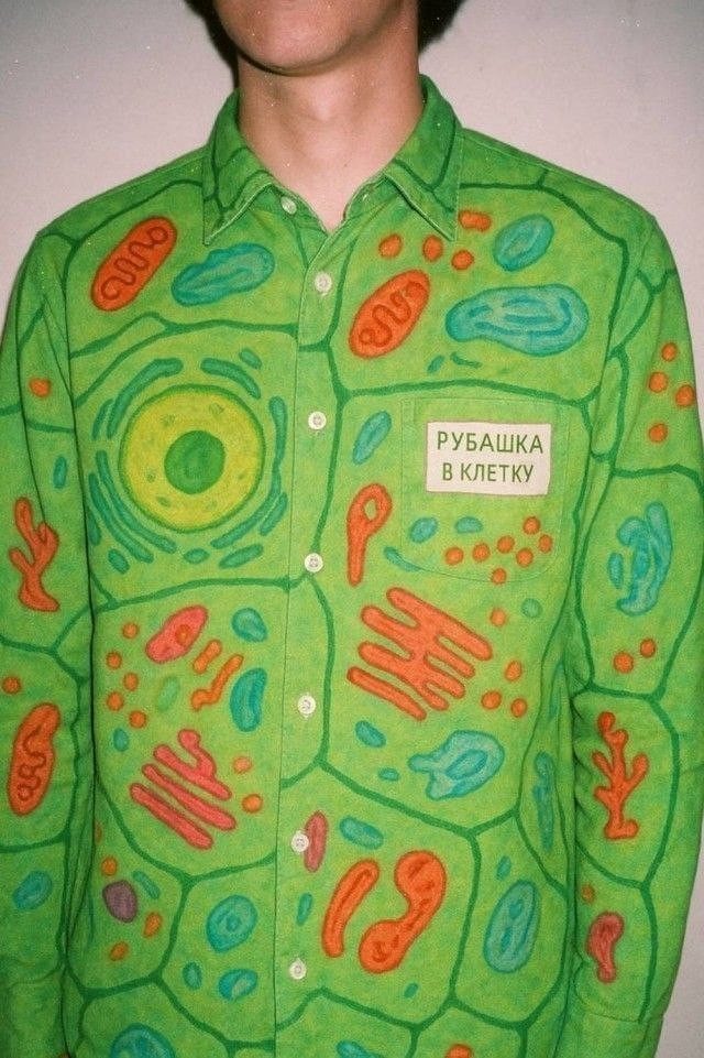 Смешные картинки и приколы для настроения