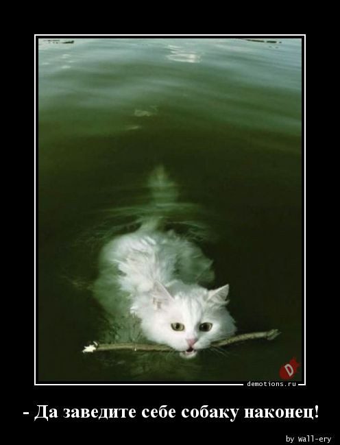 Свежая коллекция демотиваторов