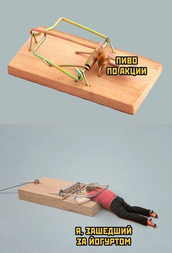 Смешные картинки