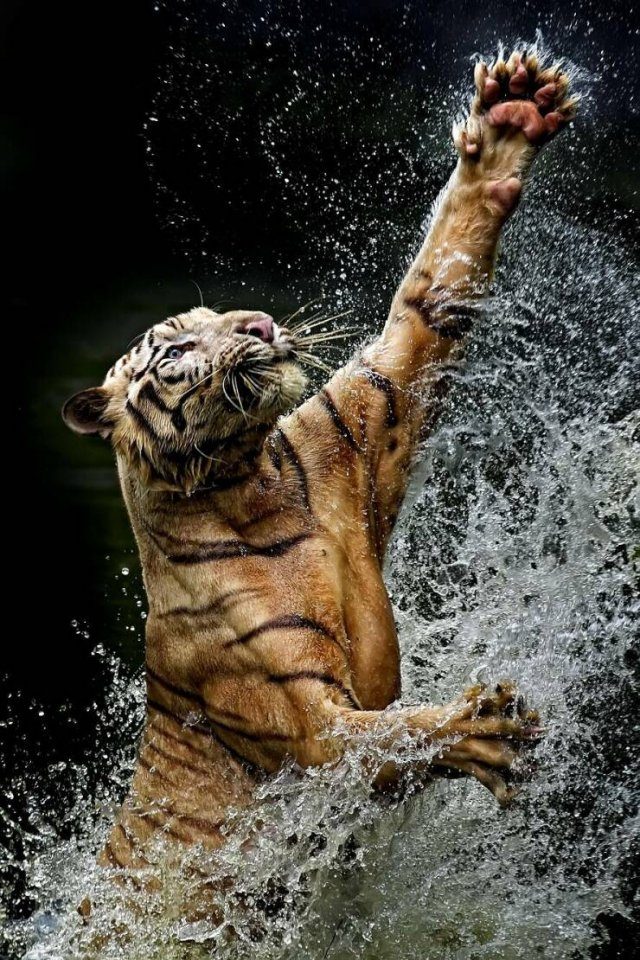 Вечерняя подборка картинок