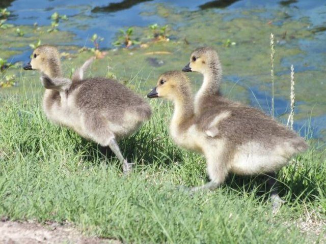 Вечерняя подборка картинок
