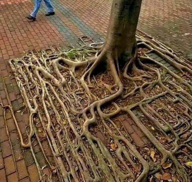 Вечерняя подборка картинок